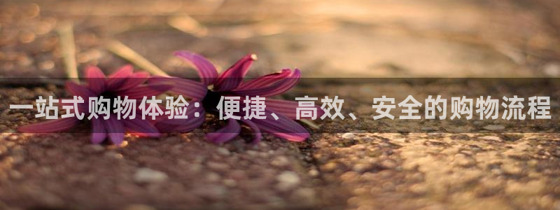 tp钱包bsc链的币能充到erc20：一站式购物体验：便捷、