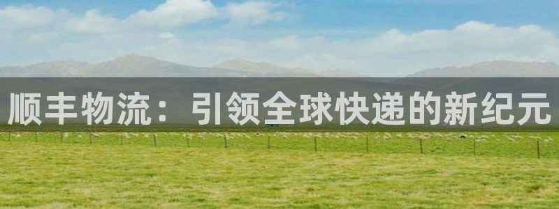 tp钱包卖不出币：顺丰物流：引领全球