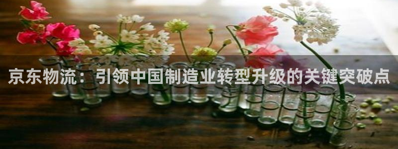 TP钱包怎么创建OEX：京东物流：引