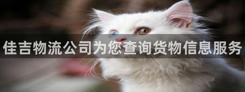 tp钱包app官方下载ios最新版本