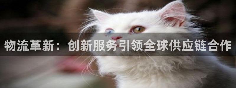 tp钱包官网下载tp钱包app官方版