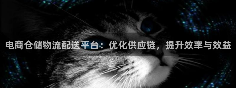 tp删除钱包：电商仓储物流配送平台：
