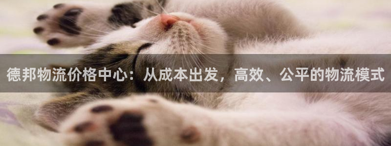 tp钱包跨链转账怎么操作：德邦物流价