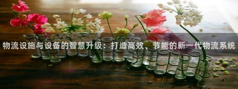 tp钱包ht购买：物流设施与设备的智