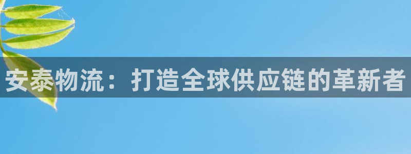 tp钱包error：安泰物流：打造全