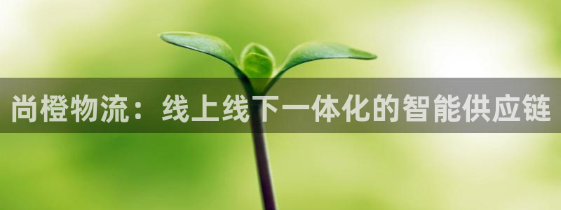 tp钱包如何创建冷钱包：尚橙物流：线