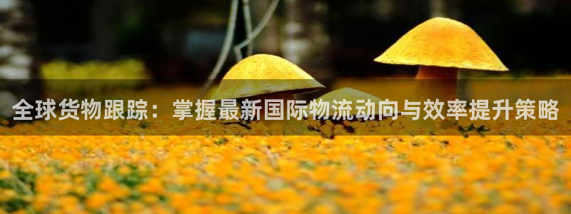 tp钱包跨链转usdt：全球货物跟踪