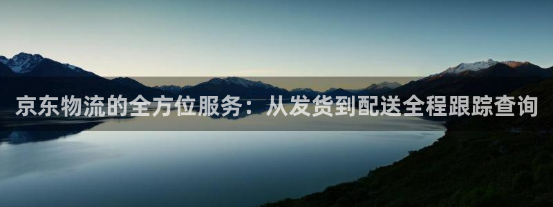 下载tp钱包：京东物流的全方位服务：