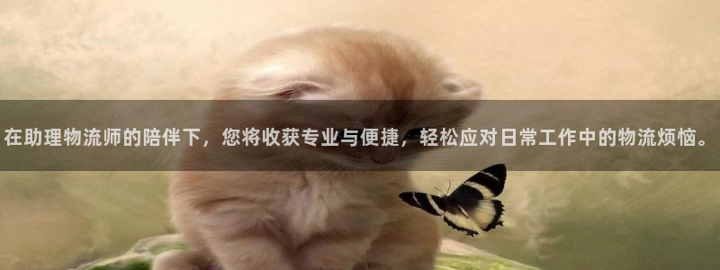 tp钱包中文版：在助理物流师的陪伴下