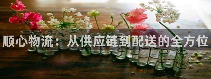 tp钱包和交易所哪个安全：顺心物流：