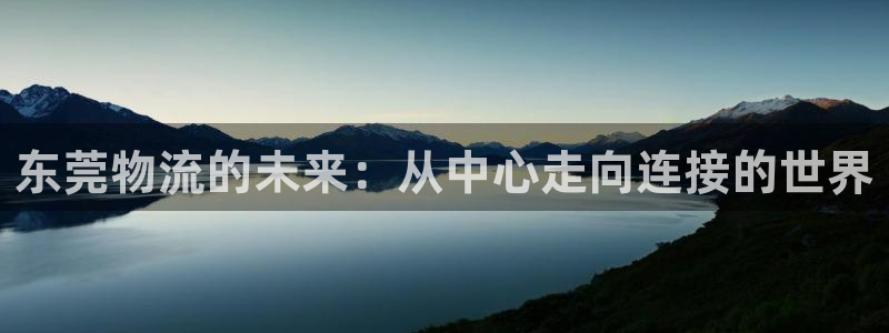 tp钱包查看授权：东莞物流的未来：从