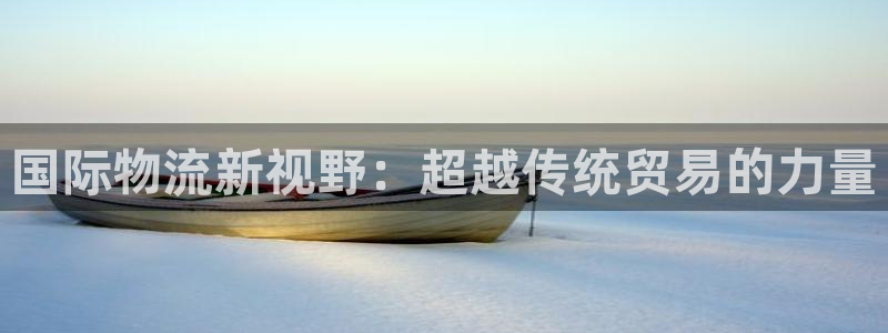 tp钱包FLX币的锁仓机制：国际物流