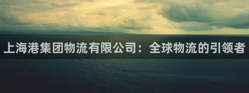 tp钱包怎样快速切换网络钱包：上海港