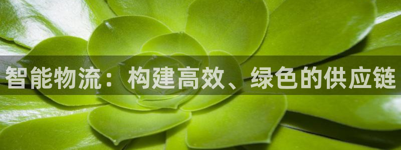 tp钱包怎么卖feg：智能物流：构建