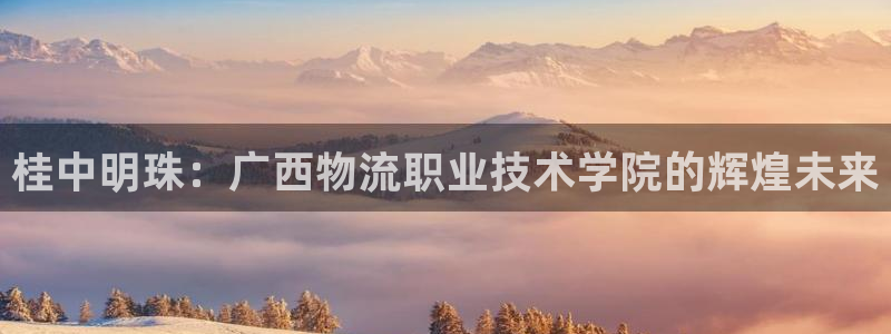 tp钱包转出的币如何找回：桂中明珠：