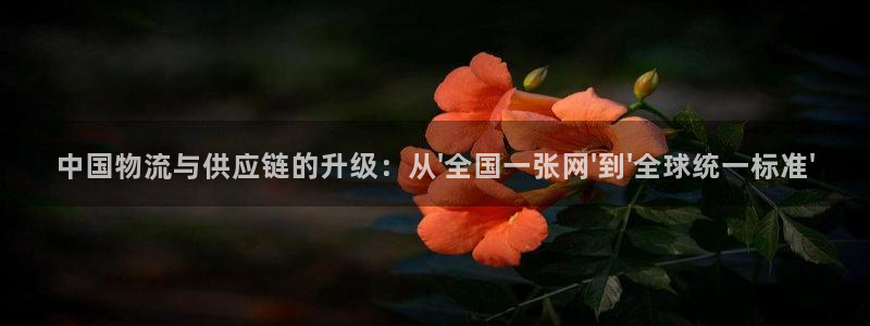 tp钱包交易密码忘了：中国物流与供应