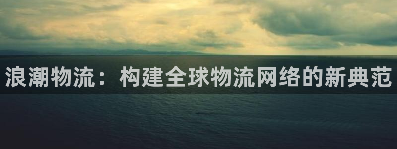 TP钱包安卓app：浪潮物流：构建全