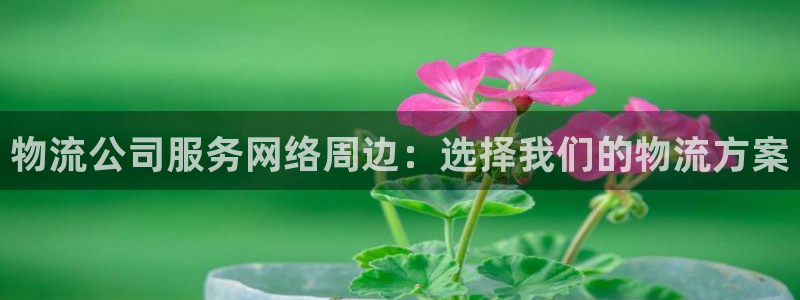 tp钱包支持的币种：物流公司服务网络
